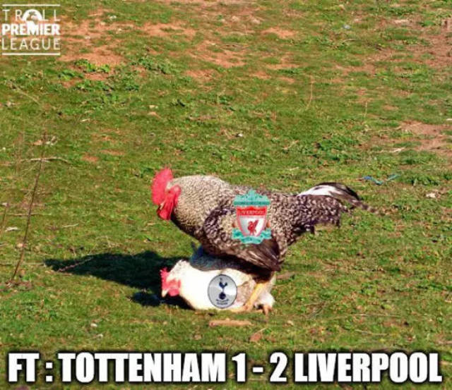 热刺官方：德拉古辛新赛季将改穿球队的3号球衣（热刺官宣：德拉古辛下赛季将身披3号战袍）